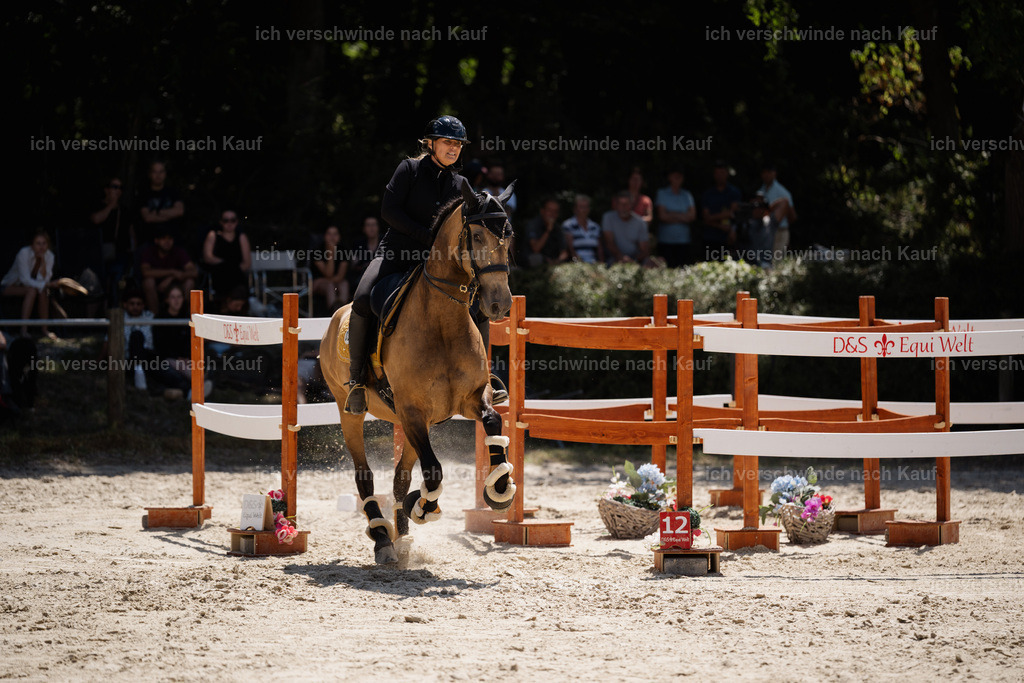 WM_SP_36_Stoibphotography_SO19418 | working equitationturnier fotograf videograf stoibphotography marixx film working equitation deutschland reitsport turnierfotografie eventfotografie equestrian events