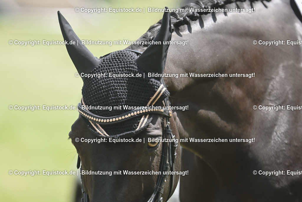 20250516_Impressionen_0101 | Foto: Thomas Hartig