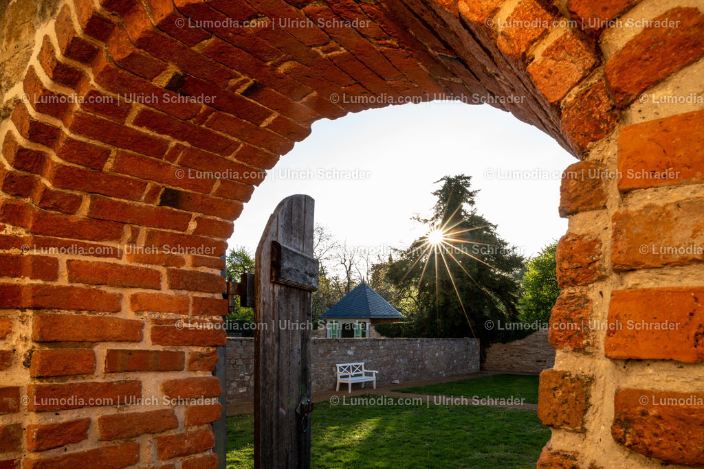 100491-3382 - Gärten im Kloster Drübeck | Stockfoto und Bilderpool mit Bildmaterial aus Deutschland, dem Harz, Halberstadt, Quedlinburg, Wernigerode und weltweit. Qualitativ hochwertige und professionelle Fotos anschauen und kaufen. - Realisiert mit Pictrs.com