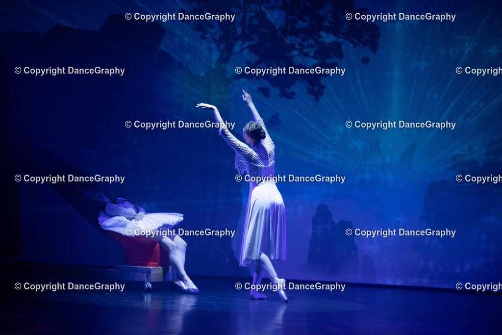 GPHY2259 | DanceGraphy - Realisiert mit Pictrs.com