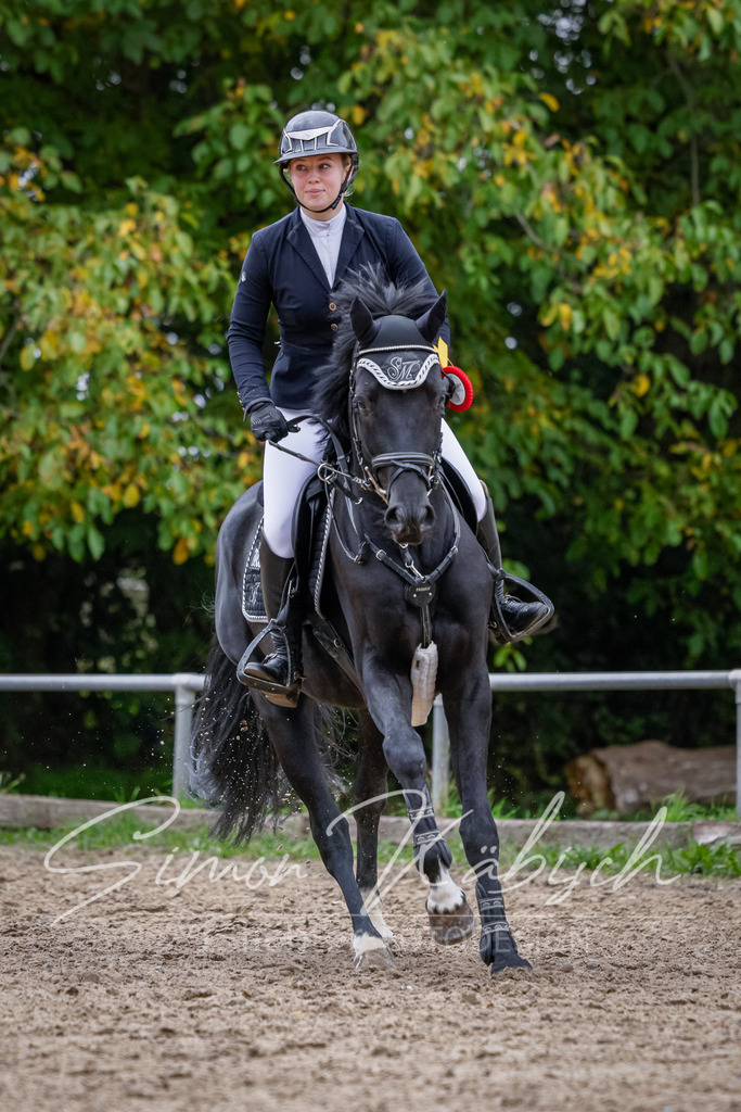 20251012-_3LI4229 | Tierfotografie Pferde, Hunde, Katzen, Haustiere.
Turnierfotografie Reitturniere, Reiten, Springreiten, Dressur in Hanau, dem Main-Kinzig-Kreis und dem Rhein-Main- Gebiet um Frankfurt