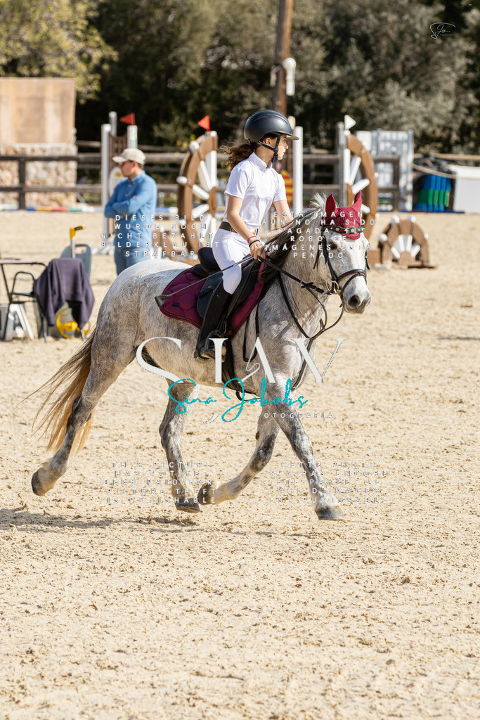 IMG_4338 | s-jay-photography - Realisiert mit Pictrs.com