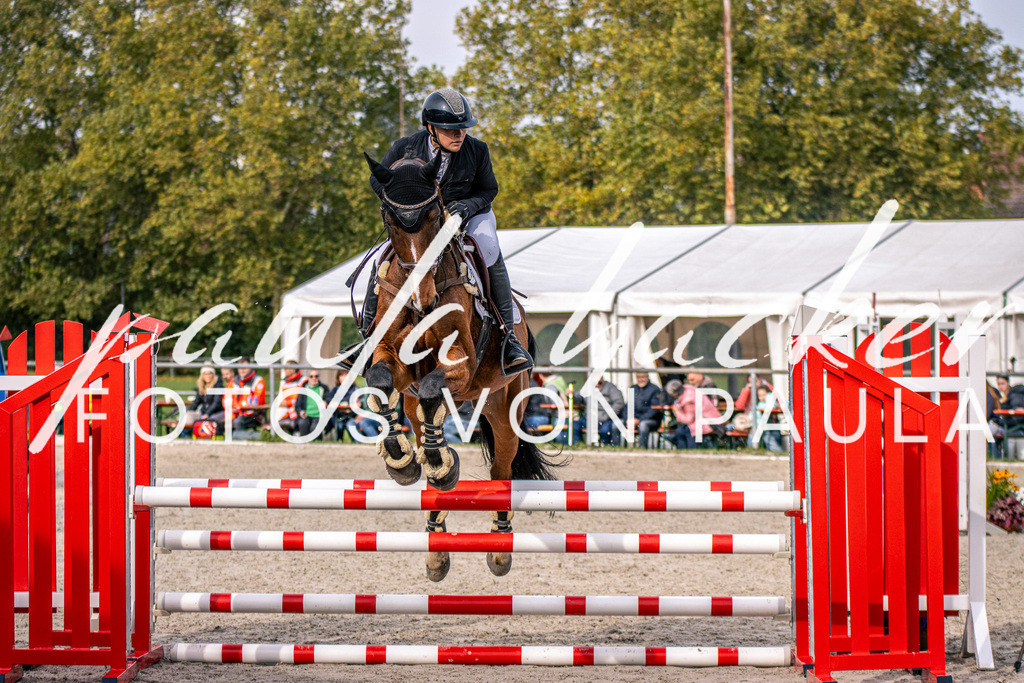 IMG_5332 | Erleben Sie dynamische Sport- und emotionale Tierfotografie in Süddeutschland mit Fotos von Paula. Spezialisiert auf Pferde- und Hundefotografie sowie Sportevents. Kontaktieren Sie mich für einzigartige und ausdrucksstarke Bilder Ihrer besonderen Momente.