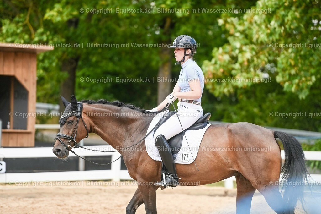 20230715_02_Dressurreiterprüfung Kl.L_0429 | equistock