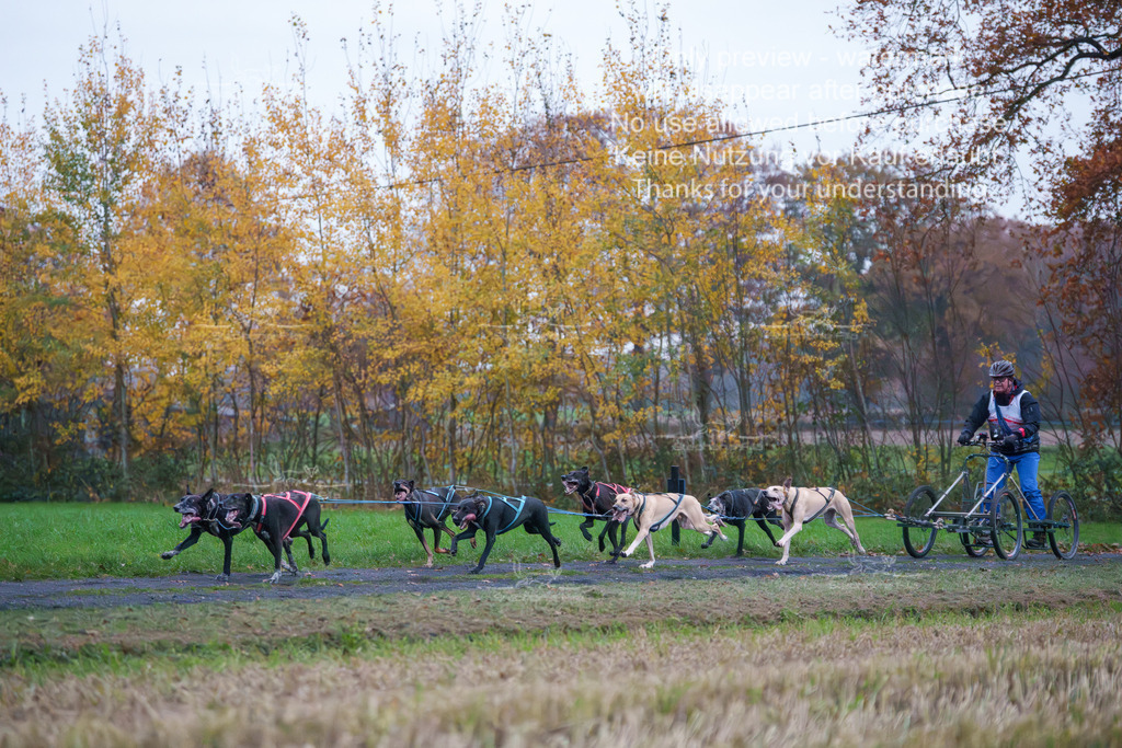 8er_Sa-4 | stephaniefillaphotographie - Realisiert mit Pictrs.com