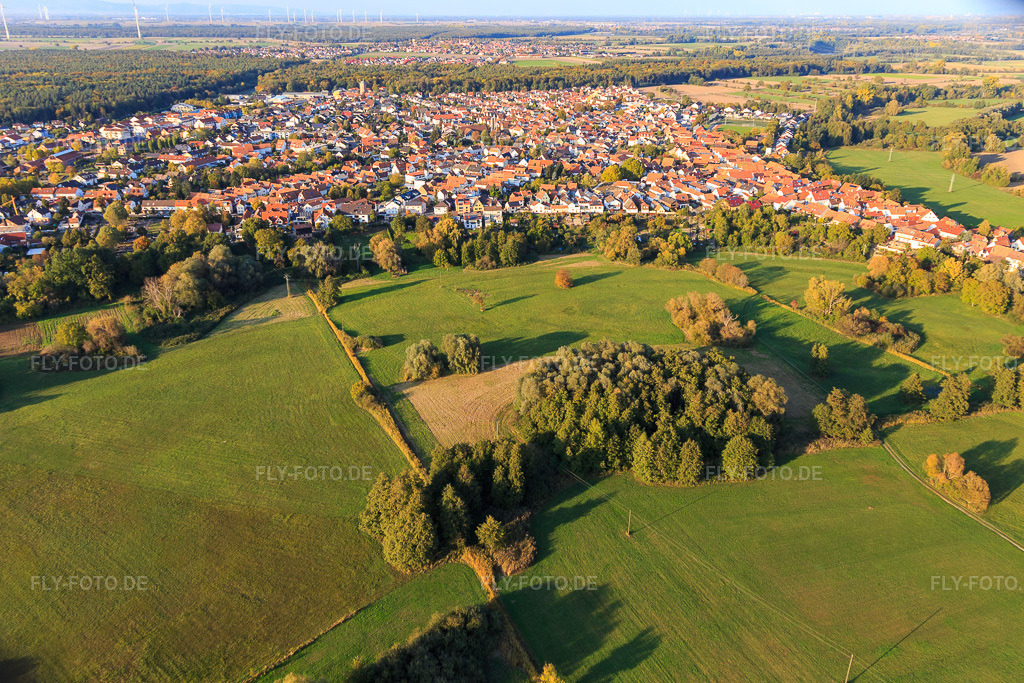 Luftbild: Park an der Ziegelbergstraße in Jockgrim im Bundesland Rheinland-Pfalz in Deutschland. Foto: IMG_123346.jpg vom 19.10.2020 durch Werner Riehm/FLY-FOTO.de