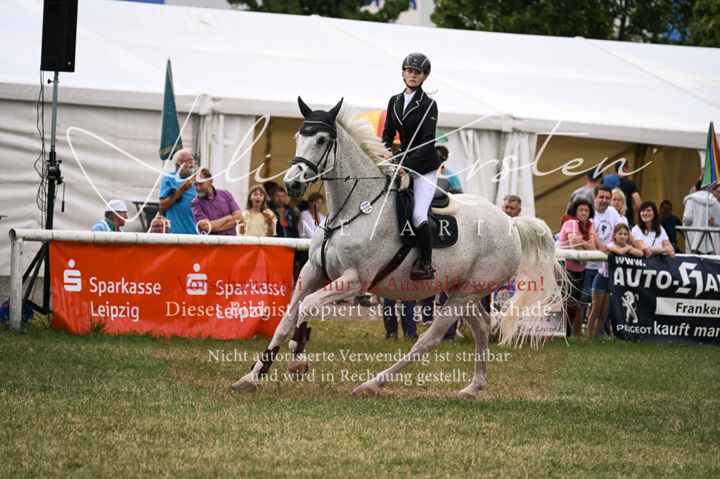 DSC_0968 | Pferde- und Turnierfotografie in Westsachsen. Pferdeportraits, Auftragszeichnungen und intuitive Kunst.