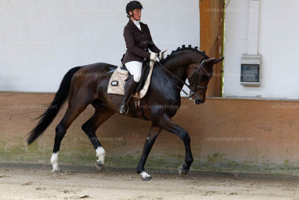 JHE31698 | JoYa Fotografie - Realisiert mit Pictrs.com