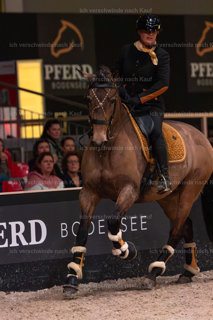 JoseraCup-55 | working equitationturnier fotograf videograf stoibphotography marixx film working equitation deutschland reitsport turnierfotografie eventfotografie equestrian events