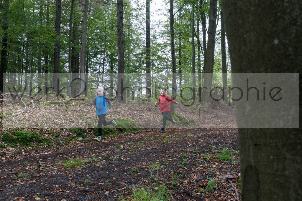 Herbstlauf | Neuhaus/Rwg. - Masserberg am 3. Oktober 2020