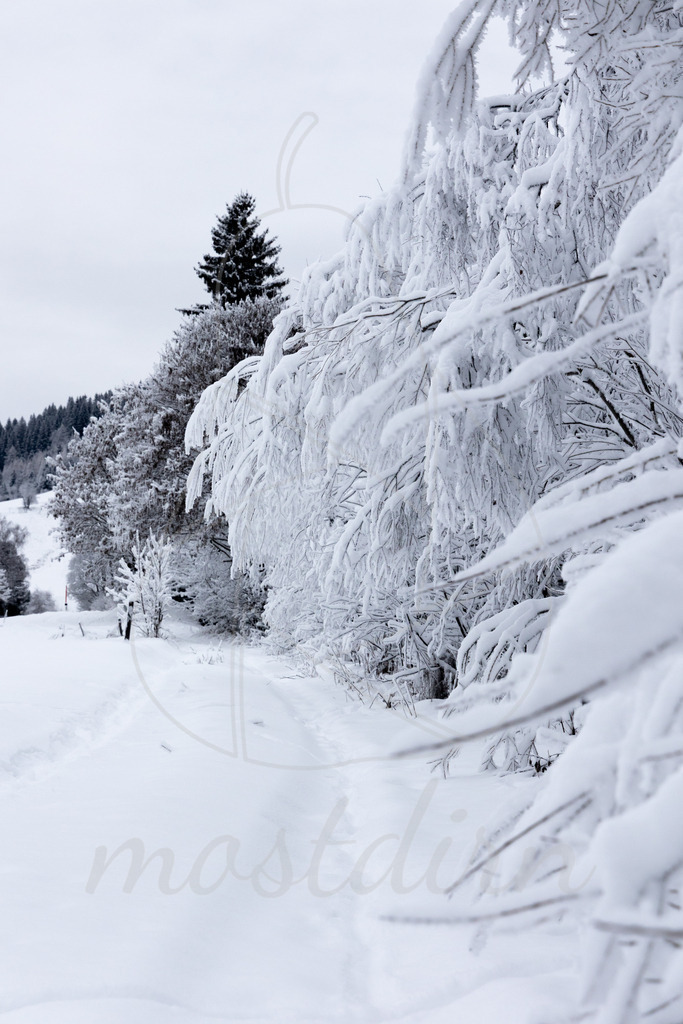 Winterwonderland Thomatal | Ihre Fotografin im Lungau, ihre Fotografin im Mostviertel, Wandbilder Onlineshop, Imagefotos für Ihr Unternehmen,  - Realisiert mit Pictrs.com