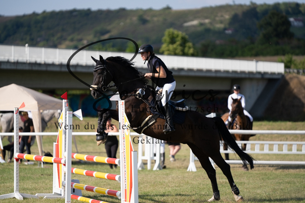 A7V00711 | Pferdefotograf