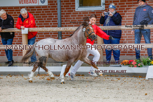 GK (150 von 759) | mandyhollmannphotographie