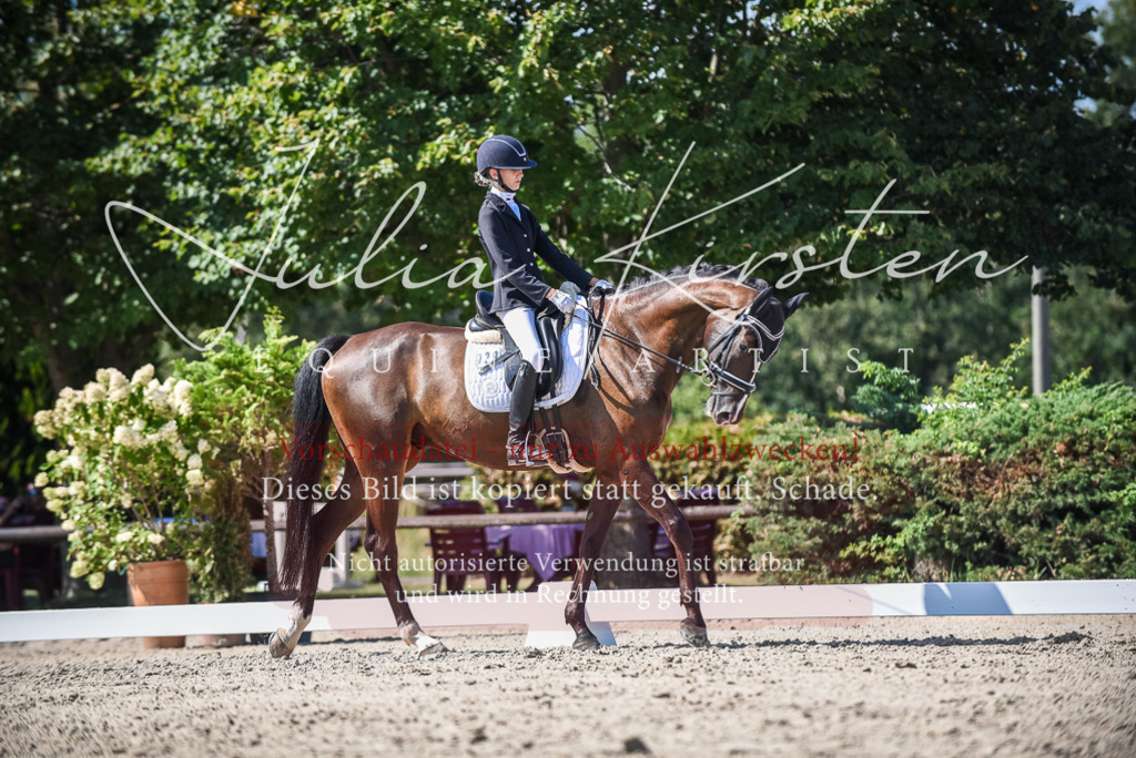 DSC_9601 | Pferde- und Turnierfotografie in Westsachsen. Pferdeportraits, Auftragszeichnungen und intuitive Kunst.