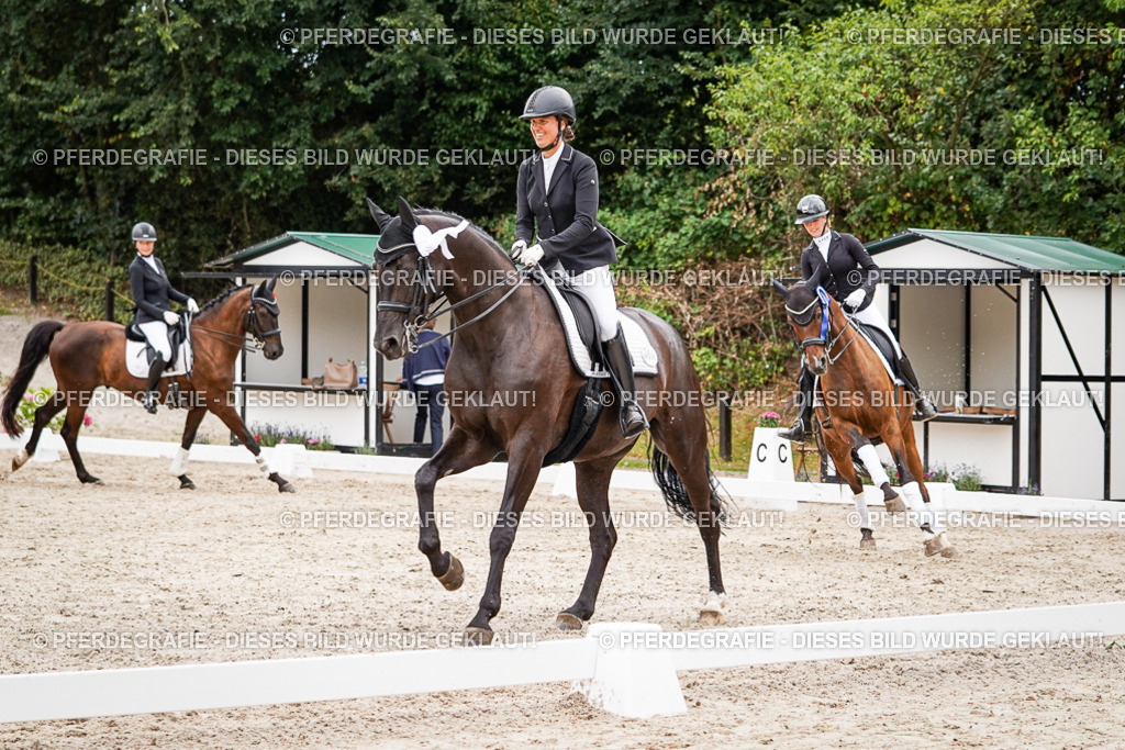 DSC04810 | Pferdegrafie