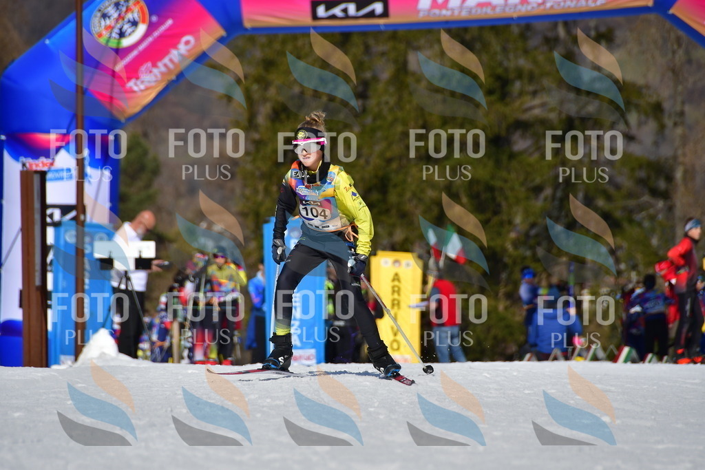 _DSC9637 | holidayphoto