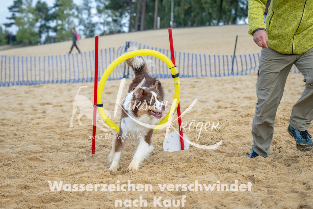 0924_ZZ92369 | kk-dogfotos