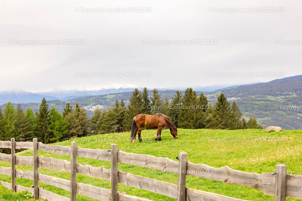 Tuff Alm | medienkrizzler - Realisiert mit Pictrs.com