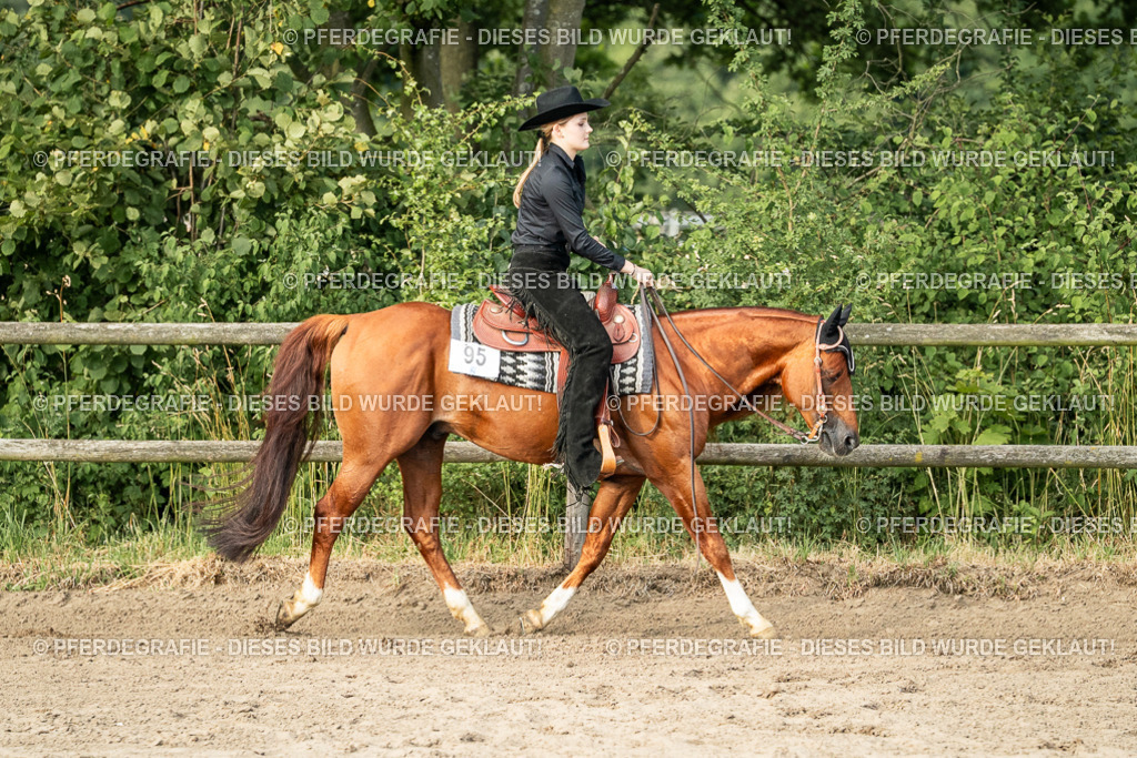 DSC06055 | Pferdegrafie