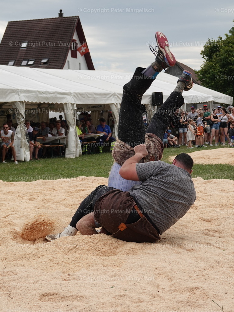 DSC05152 | Schwingen - Realisiert mit Pictrs.com