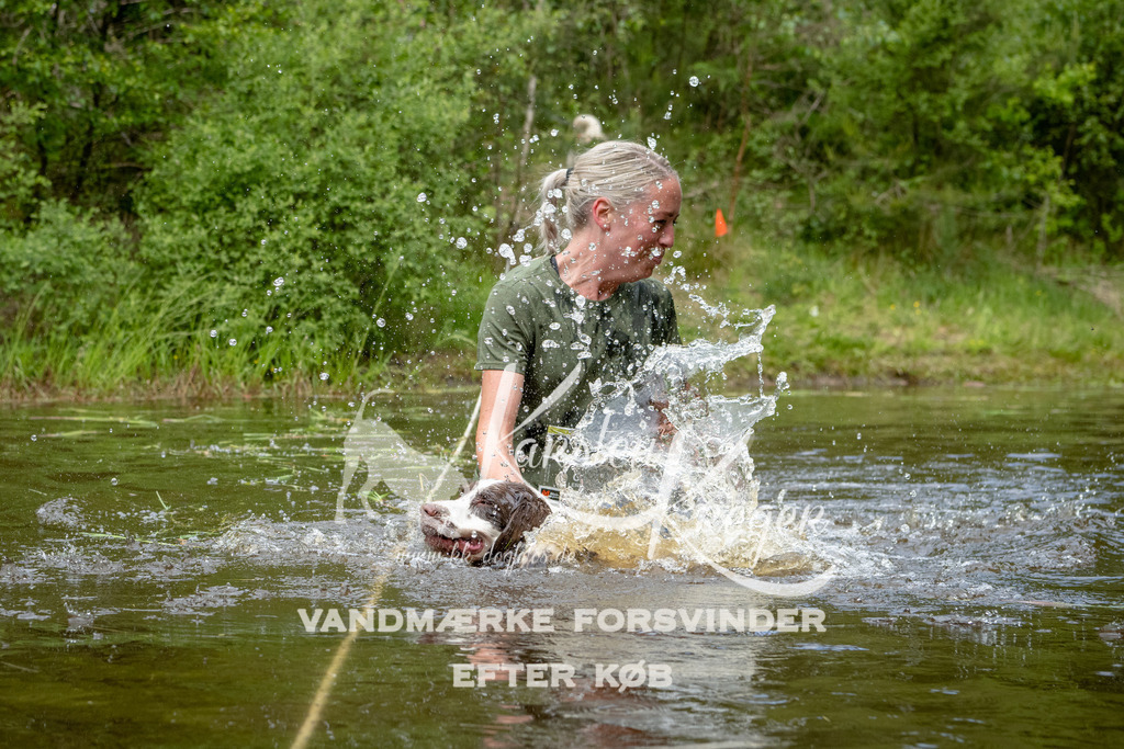 1104DKK994070 | kk-dogfotos