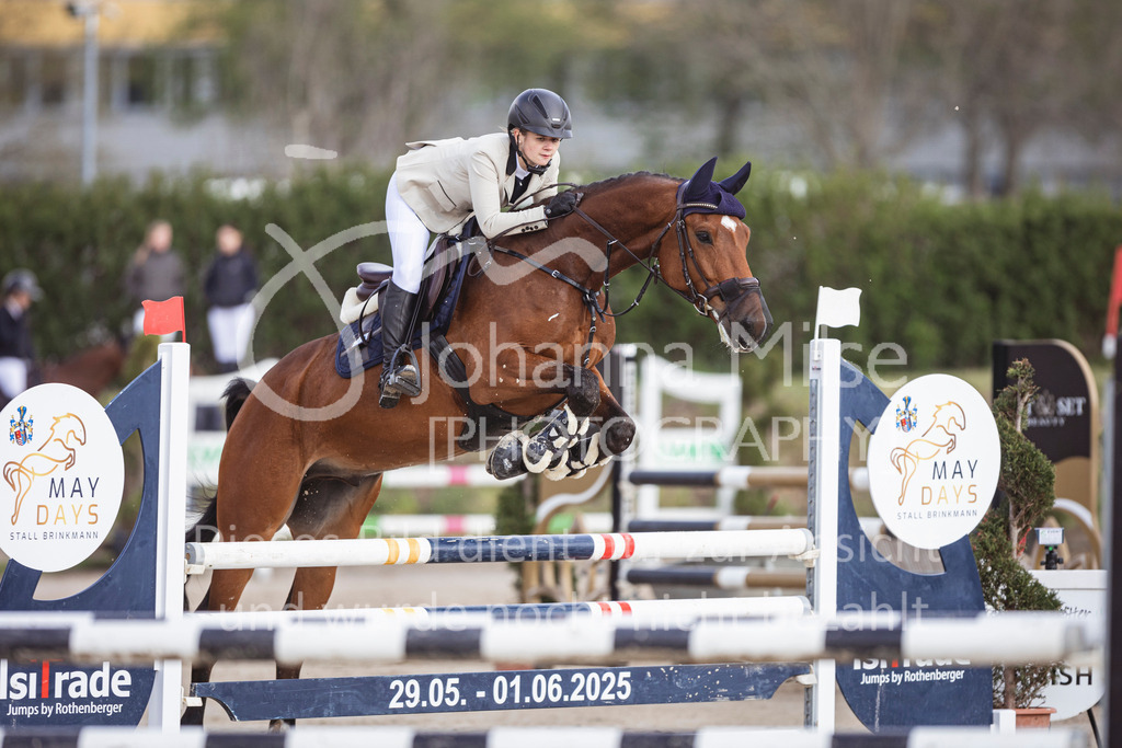250419_Frühlingsfest_Springpf-L-340 | Deine schönsten Turniermomente als professionelle Fotos! Entdecke hochwertige Pferdesport-Fotografie im Online-Shop. Jetzt Fotos finden & bestellen!