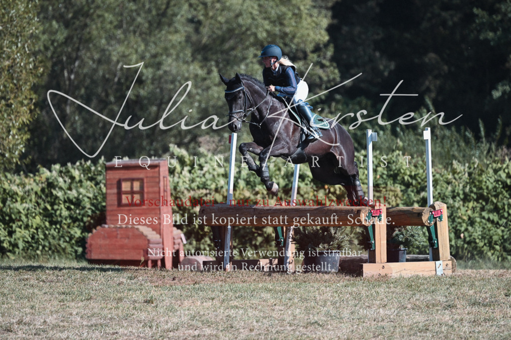 DSC_8803 | Pferde- und Turnierfotografie in Westsachsen. Pferdeportraits, Auftragszeichnungen und intuitive Kunst.
