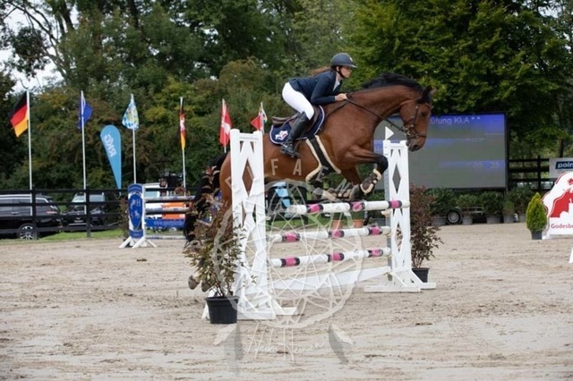 2B4A1474 | pixelfaenger - Realisiert mit Pictrs.com