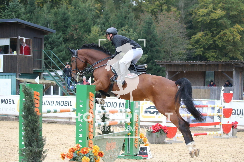 DL2Q3614 | Willkommen bei Brunnmayr - Design & Fotografie – Ihrem Spezialisten für Reitturniere und Pferdeveranstaltungen in Oberösterreich, Salzburg und Bayern! Seit über 17 Jahren sind wir leidenschaftlich dabei.
