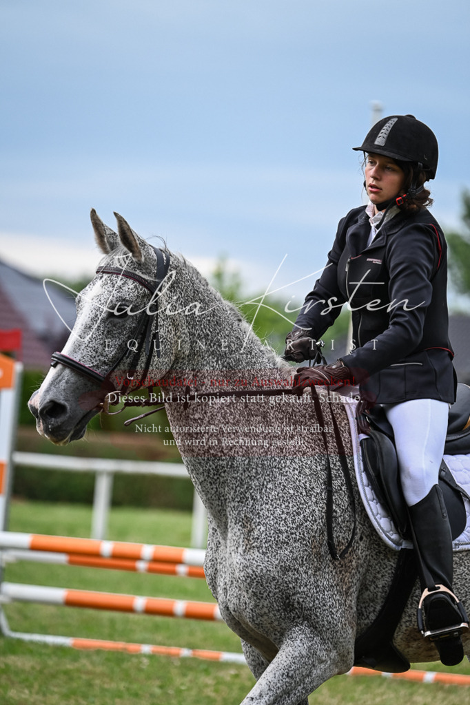 DSC_8352 | Pferde- und Turnierfotografie in Westsachsen. Pferdeportraits, Auftragszeichnungen und intuitive Kunst.