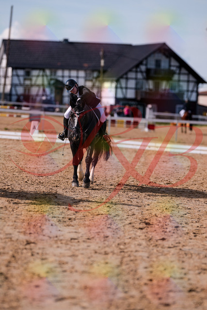 2026_10_03_Siefer-Hof_131946_Z81_69749115 | Professionelle Reitsport-, Turnier- und Eventfotografie von Robert Broda. Galerien mit ausgewählten und bearbeiteten Bildern direkt online ansehen und bestellen.