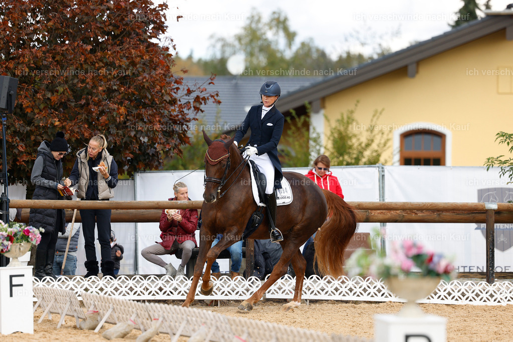 09_2-094-DRESSUR  S_  -StoibPH-5862 | working equitationturnier fotograf videograf stoibphotography marixx film working equitation deutschland reitsport turnierfotografie eventfotografie equestrian events