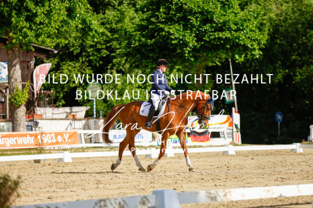 _62_2407 | larahueckfotografie