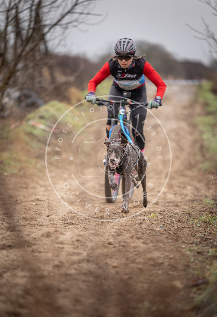 DV3A8849 | Hundefotografie, Tierfotograf, Pfotenfotografie, Fotoshooting Hund, Hunde Portrait, Hundesport, Hundeportraits, Heideshooting, Hunde, Sportfotograf, Hundefotograf, Turnierhundsport, THS,  - Realisiert mit Pictrs.com