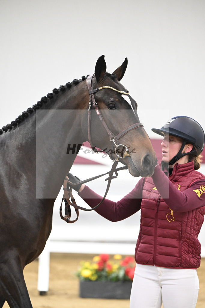 Kat-Nr. 103 Pifte van het Houtemhof x Indoctro_Anna-Sophie Kosch_47253296 | hf-fotografie - Realisiert mit Pictrs.com