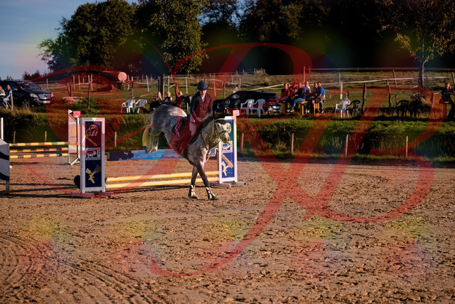 2026_10_03_Siefer-Hof_171434_Z81_12048343 | Professionelle Reitsport-, Turnier- und Eventfotografie von Robert Broda. Galerien mit ausgewählten und bearbeiteten Bildern direkt online ansehen und bestellen.
