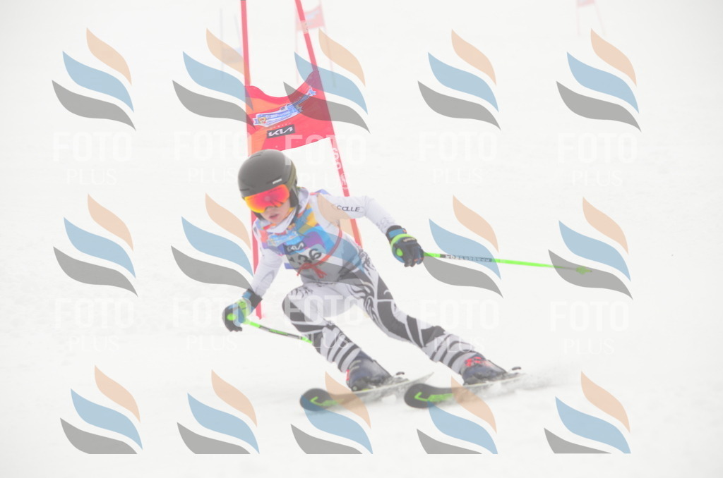 C1679 | holidayphoto