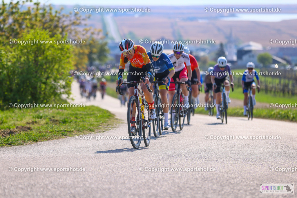 TRA_0248 | Neusiedlersee Radmarathon 2026@sportshot_your_pictrs #yourpictures#roadtowm2029 #nrm #neusiedlerseeradmarathon #neusiedlersee #neusiedlerseetourismus #burgenland #mörbisch #nrm26 #burgenlandtourismus #voglundco #poweredbyburgenlandtourismus #radsport #rad #marathon #ucigranfondo #visitburgenland #ucigranfondoworldseries