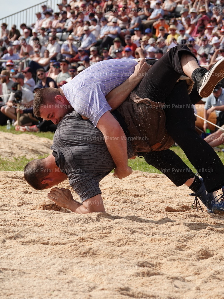 DSC06894 | Schwingen - Realisiert mit Pictrs.com