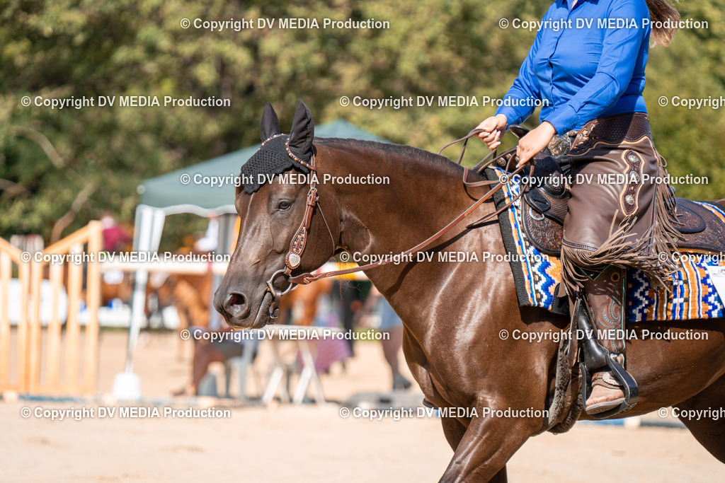 ZH100285 | dv-media-shop - Realisiert mit Pictrs.com