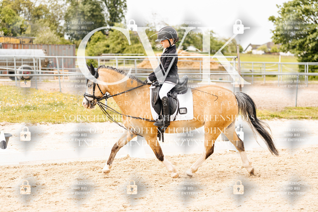 CK904672 | Turnierfotografie Pferdefotografie Trier Rheinland-Pfalz Pferdesport Reitsport Tierfotografie Sportfotografie Pferdevideo Pferdevideografie Equestrianvideography equestrianphotography  - Realisiert mit Pictrs.com