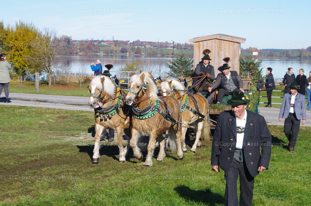 IMGP7613 | fotografiert von Axel PollmannLeonhardi Wallfahrt Benediktbeuern und Murnau, Fronleichnam, Fasching, Landschaft im Loisachtal und Benediktbeuern  - Realisiert mit Pictrs.com
