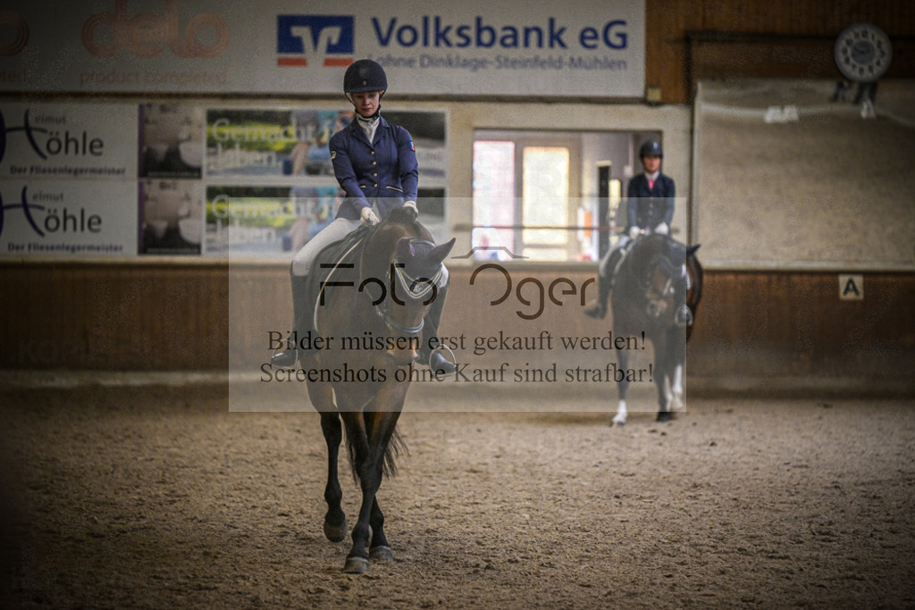 DOS_0168 | Entdecke hochwertige Reitturnierfotos von Foto Oger. Professionell, emotional und authentisch – jetzt Lieblingsmomente im Shop bestellen.Deutschlandweite Turnierfotografie. - Realisiert mit Pictrs.com