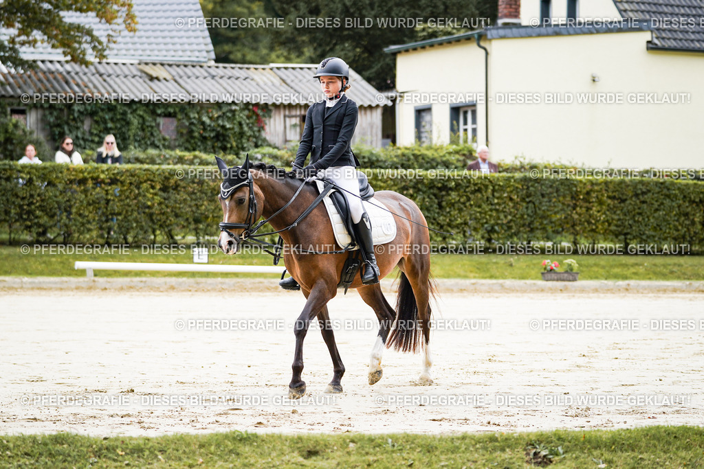 DSC04416 | Pferdegrafie