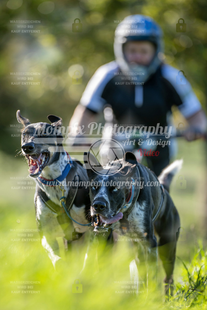 MompixPhotography_20TSB_E3_DS2-45 | PayLife