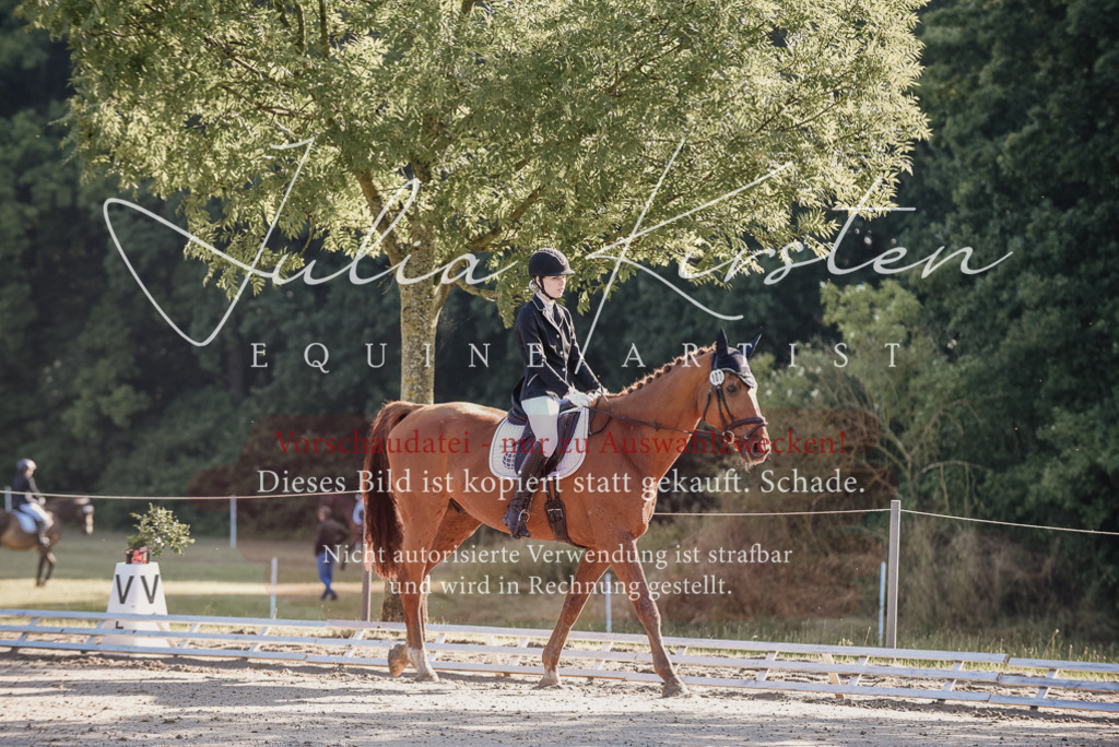DSC_7665 | Pferde- und Turnierfotografie in Westsachsen. Pferdeportraits, Auftragszeichnungen und intuitive Kunst.