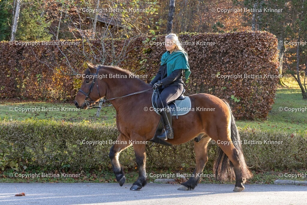 LL24-179 | foto-bettina-krinner - Realisiert mit Pictrs.com