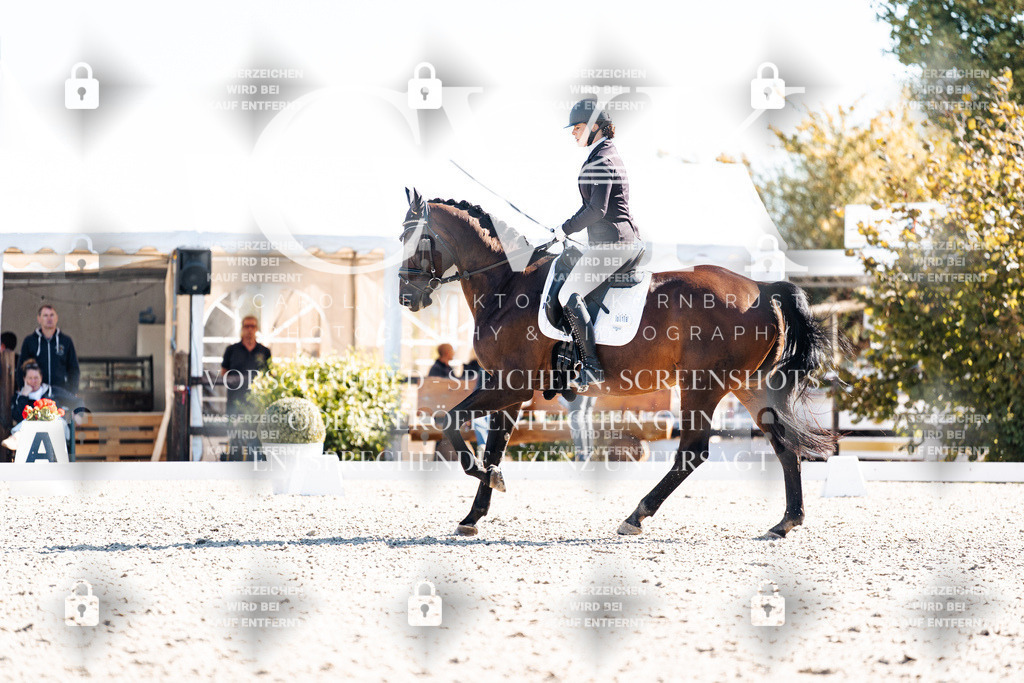 CK908731 | Turnierfotografie Pferdefotografie Trier Rheinland-Pfalz Pferdesport Reitsport Tierfotografie Sportfotografie Pferdevideo Pferdevideografie Equestrianvideography equestrianphotography  - Realisiert mit Pictrs.com