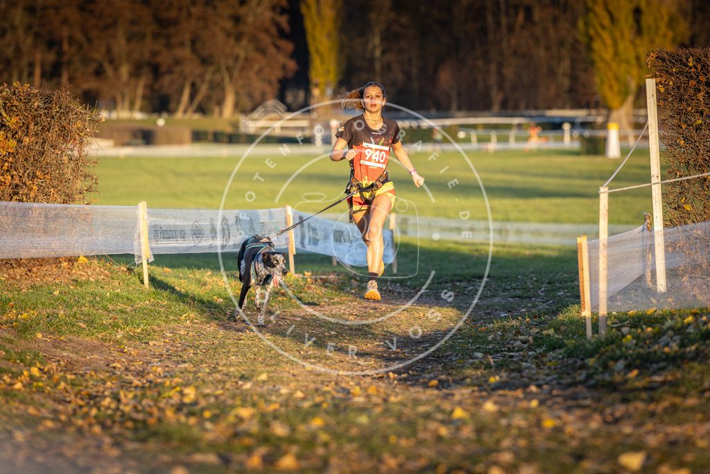 CaniXpix_DV3A5353 | Hundefotografie, Tierfotograf, Pfotenfotografie, Fotoshooting Hund, Hunde Portrait, Hundesport, Hundeportraits, Heideshooting, Hunde, Sportfotograf, Hundefotograf, Turnierhundsport, THS,  - Realisiert mit Pictrs.com