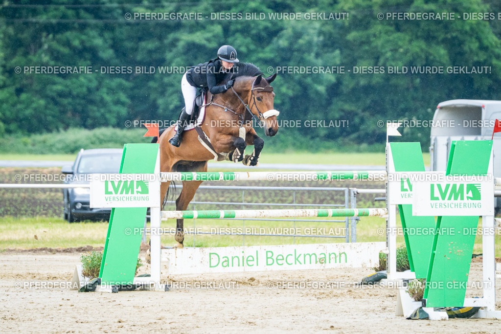 DSC00162 | Pferdegrafie